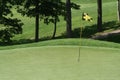 Golfcourse Fairway Flag on Green Royalty Free Stock Photo