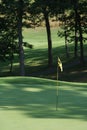 Golfcourse Flag Royalty Free Stock Photo