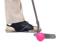 The Golfer. Royalty Free Stock Photo
