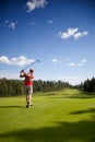 Golfer Royalty Free Stock Photo