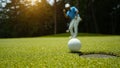 Golfer action to win after long putting golf ball in to the hole Royalty Free Stock Photo