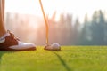 Golfer asian woman putting golf ball on the green golf on sun set evening time. Royalty Free Stock Photo