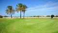 Golfer on the golf course of Costa Ballena, Rota, Cadiz province, Spain Royalty Free Stock Photo