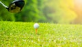 Golfer hitting golf ball on tee off zone in golf course Royalty Free Stock Photo