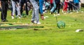 Golfer legs at golf tournament practice swing with golf club Royalty Free Stock Photo