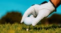 Golfer man with golf glove playing on a golf course. Hand putting golf ball on tee in golf course. Royalty Free Stock Photo