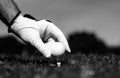 Golfer man with golf glove playing on a golf course. Hand putting golf ball on tee in golf course. Royalty Free Stock Photo