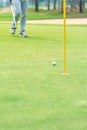 Golfer preparing for a putt Golf ball on the green during golfcourse