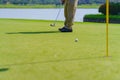 Golfer preparing for a putt Golf ball on the green during golfcourse