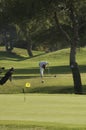 Golfer preparing to tee off Royalty Free Stock Photo