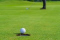 Golfer putt golf ball into hole on the green at golf course