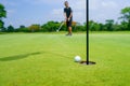 Golfer putt golf ball into hole on the green at golf course Royalty Free Stock Photo