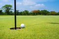 Golfer putt golf ball into hole on the green at golf course