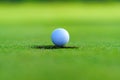 Golfer putt golf ball into hole on the green at golf course Royalty Free Stock Photo