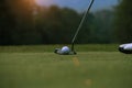 Golfer putting golf ball on the green golf Royalty Free Stock Photo