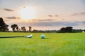 Golfer is putting golf ball on green grass at golf course for training to hole  with blur background a Royalty Free Stock Photo