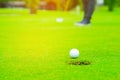 Golfer putting golf ball on the green golf, lens flare on sun set evening time, Pro Golf long putting golf ball in to the hole, su Royalty Free Stock Photo