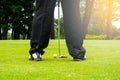 Golfer putting golf ball to hole for the winner Royalty Free Stock Photo
