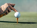 Golfer\'s hand holding a golf ball on the golf course Royalty Free Stock Photo