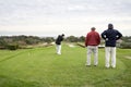 Golfers Royalty Free Stock Photo