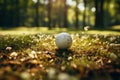 Golfers blur balls perfect aim Royalty Free Stock Photo