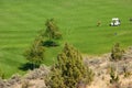 Golfers on bright green fairway Royalty Free Stock Photo