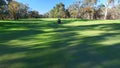 Golfers in Electric Golf Buggy driving through Golf Course.