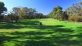 Golfers in Electric Golf Buggy driving through Golf Course.