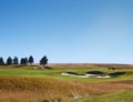 Golfers looking for the ball