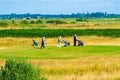 Golfers Royal Cinque Ports Golf Club Sandwich Bay UK