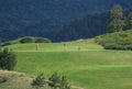 Golfers on tee Royalty Free Stock Photo