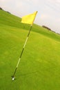 Golfing Flag Royalty Free Stock Photo