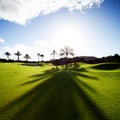 Golfing Royalty Free Stock Photo