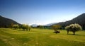 Golfplatz Golfacademy-Seefeld Royalty Free Stock Photo