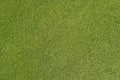 Golg green grass texture. Sward texture. Green grass Artificial background.