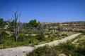 Abandoned road on Goli otok, Croatia