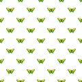 Goliath birdwing butterfly pattern seamless Royalty Free Stock Photo