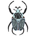 Goliathus regius beetle, vector illustration isolated on a white background Royalty Free Stock Photo