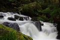 Golitha falls cornwall Royalty Free Stock Photo