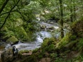 GOLITHA FALLS, CORNWALL, ENGLAND - JULY 20 2023: A view down the River Fowey near Liskeard, with tourists. Royalty Free Stock Photo
