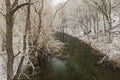 Kamchia River in winter