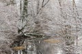 Kamchia River in winter