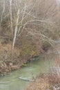 Kamchia River in winter