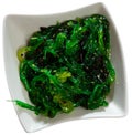 Goma wakame japanese seaweed salad Royalty Free Stock Photo