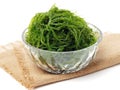 Goma wakame or seaweed salad Royalty Free Stock Photo