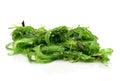 Goma wakame or seaweed salad Royalty Free Stock Photo