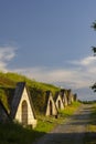 Gombos-hegyi pincesor in Hercegkut, UNESCO site, Great Plain, North Hungary