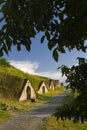 Gombos-hegyi pincesor in Hercegkut, UNESCO site, Great Plain, North Hungary