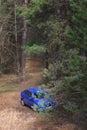 GOMEL, BELARUS - 8 April 2017: Car Renault Logan blue parked in a pine forest