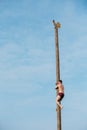 Slavic celebration Maslenitsa in Belarus. Young man climbs on a wooden post on traditional holiday dedicated to approach Royalty Free Stock Photo